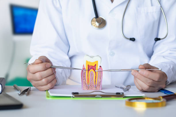 Emergency Gum Pain Relief in AR